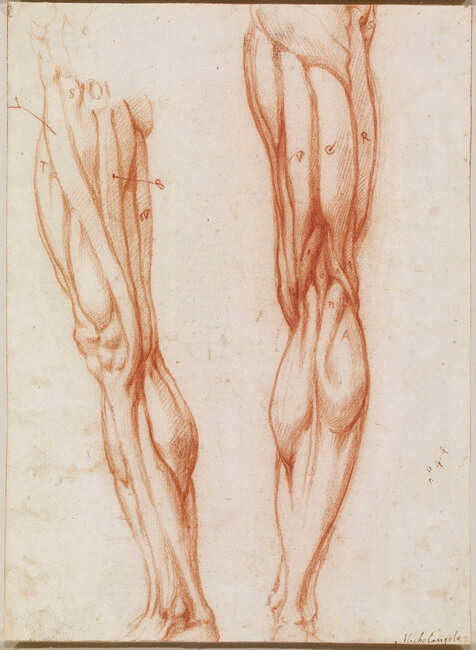 Michelangelo legs drawing