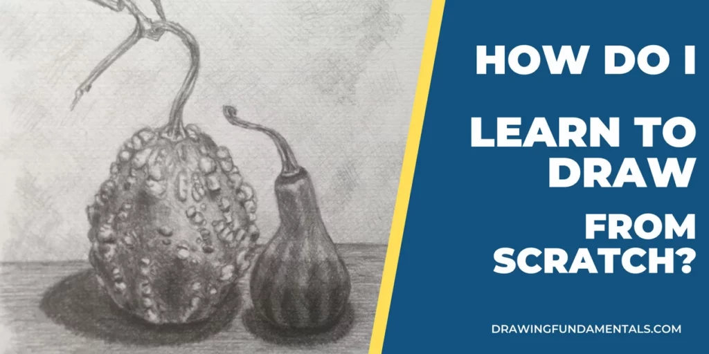 Graphite pencil drawing of two gourds.