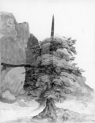 Albrecht Dürer - Tree in a Quarry