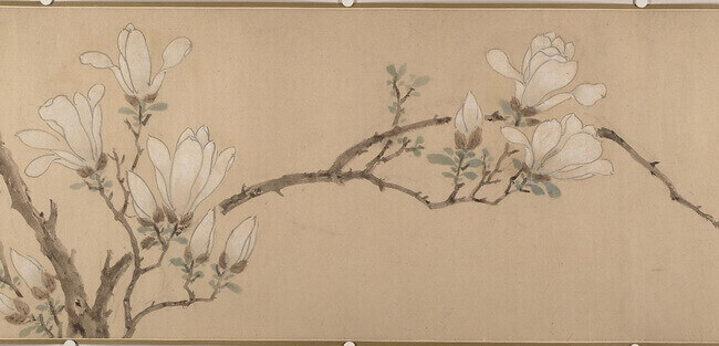 chinese magnolia painting