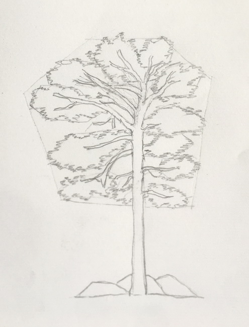 how to draw trees step by step pine1