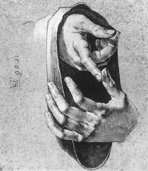 Study of Hands by Albreht Dürer